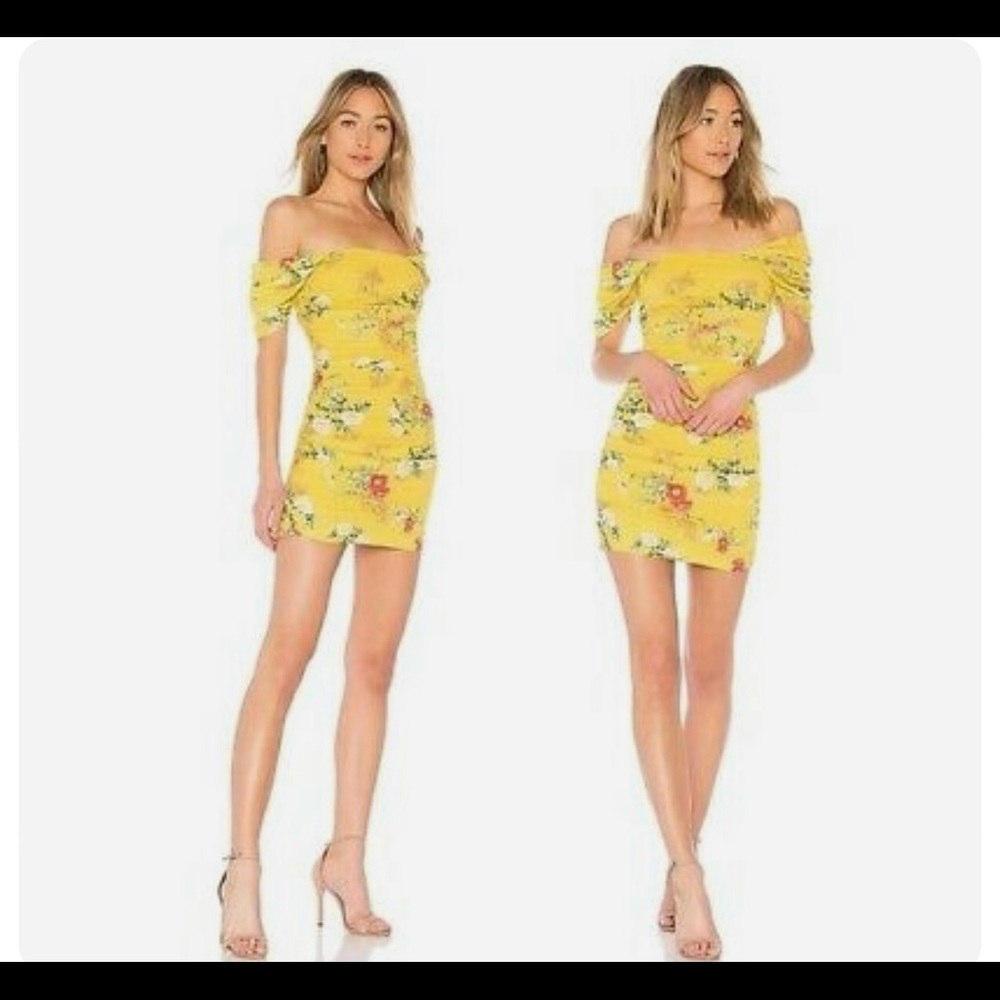 Lovers and Friends Joss Spring Bloom Mini Dress
